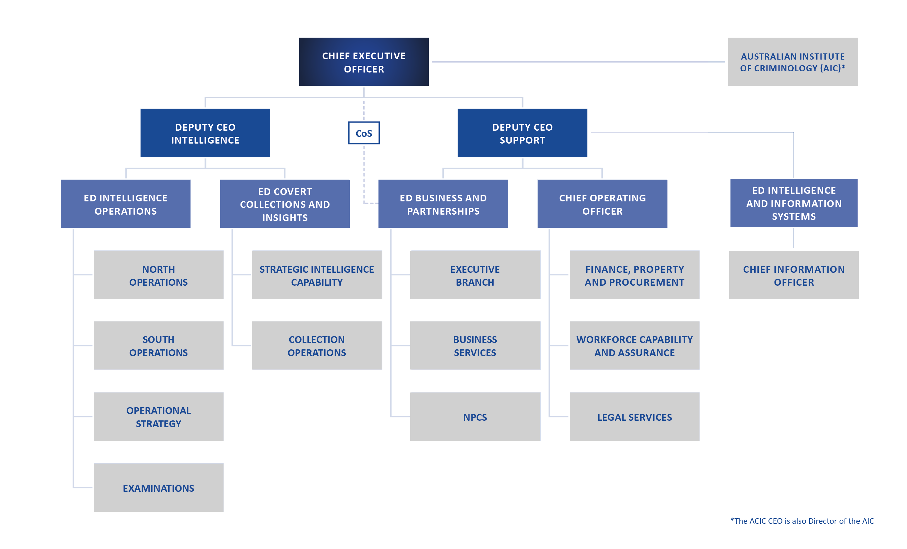 ACIC's senior leadership structure including CEO, Deputy CEO, Executive Directors and their branches