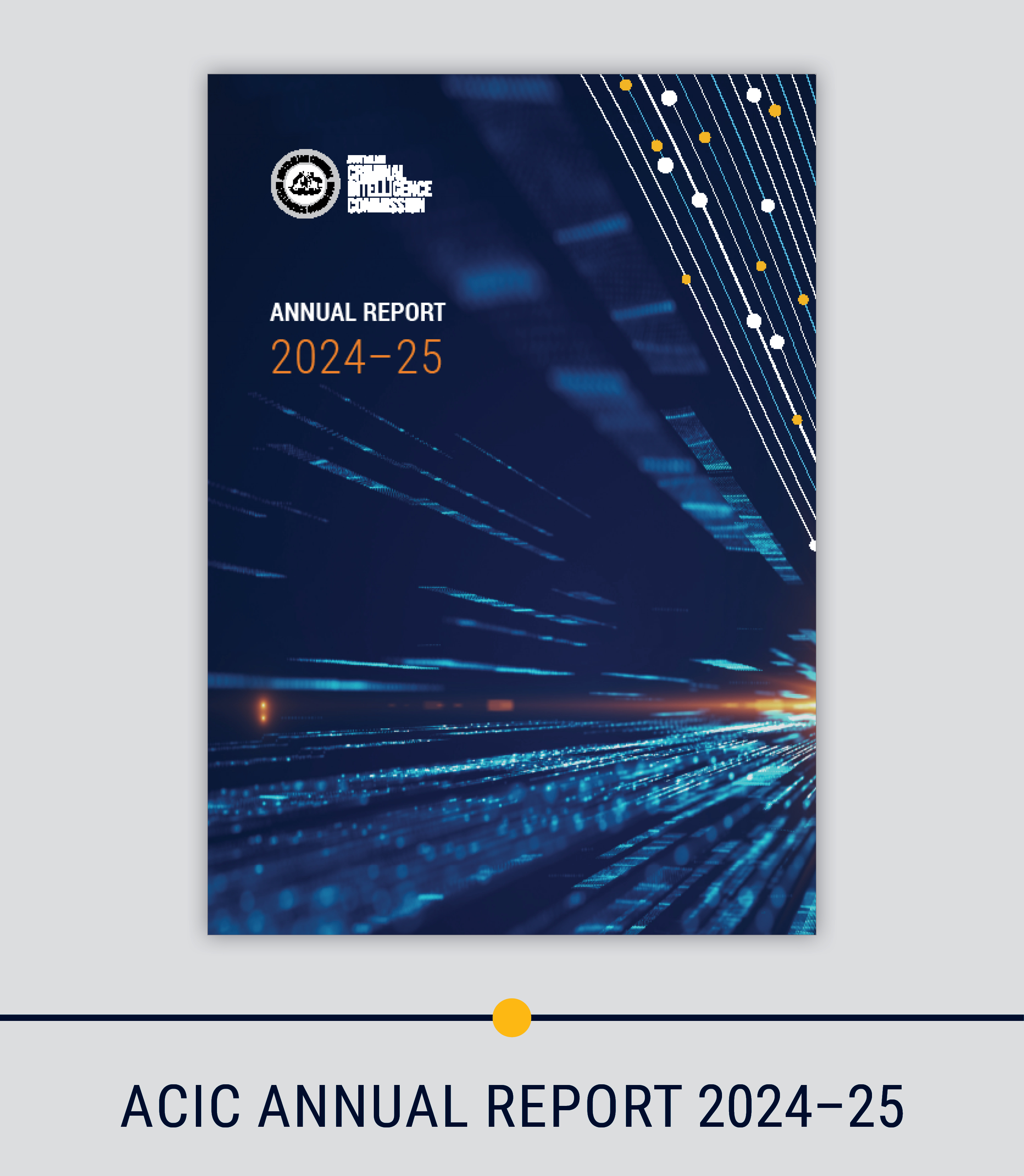 Text reads ACIC Annual Report 2024-25
