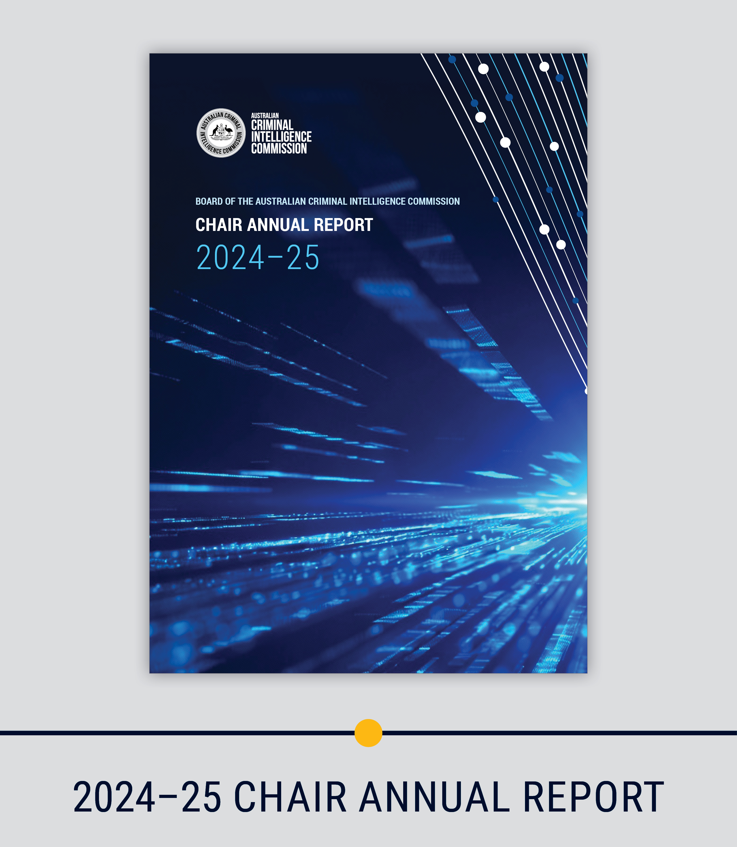 Read the 2024-25 Chair Annual Report