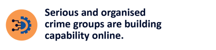 Text reads Serious and organised crime groups are building capability online.
